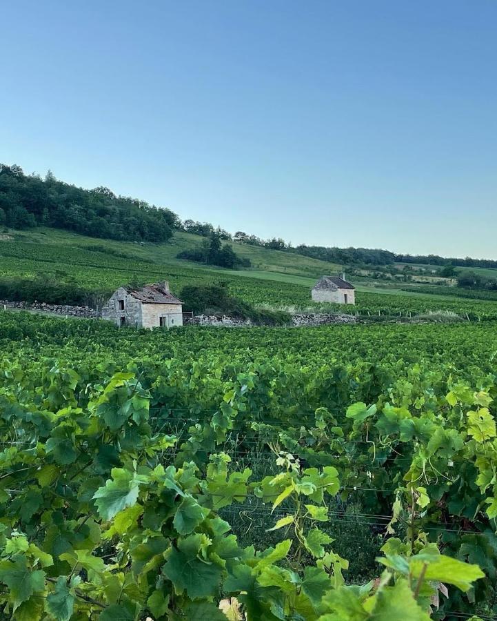 Le Clos De Miribel Givry  Eksteriør bilde