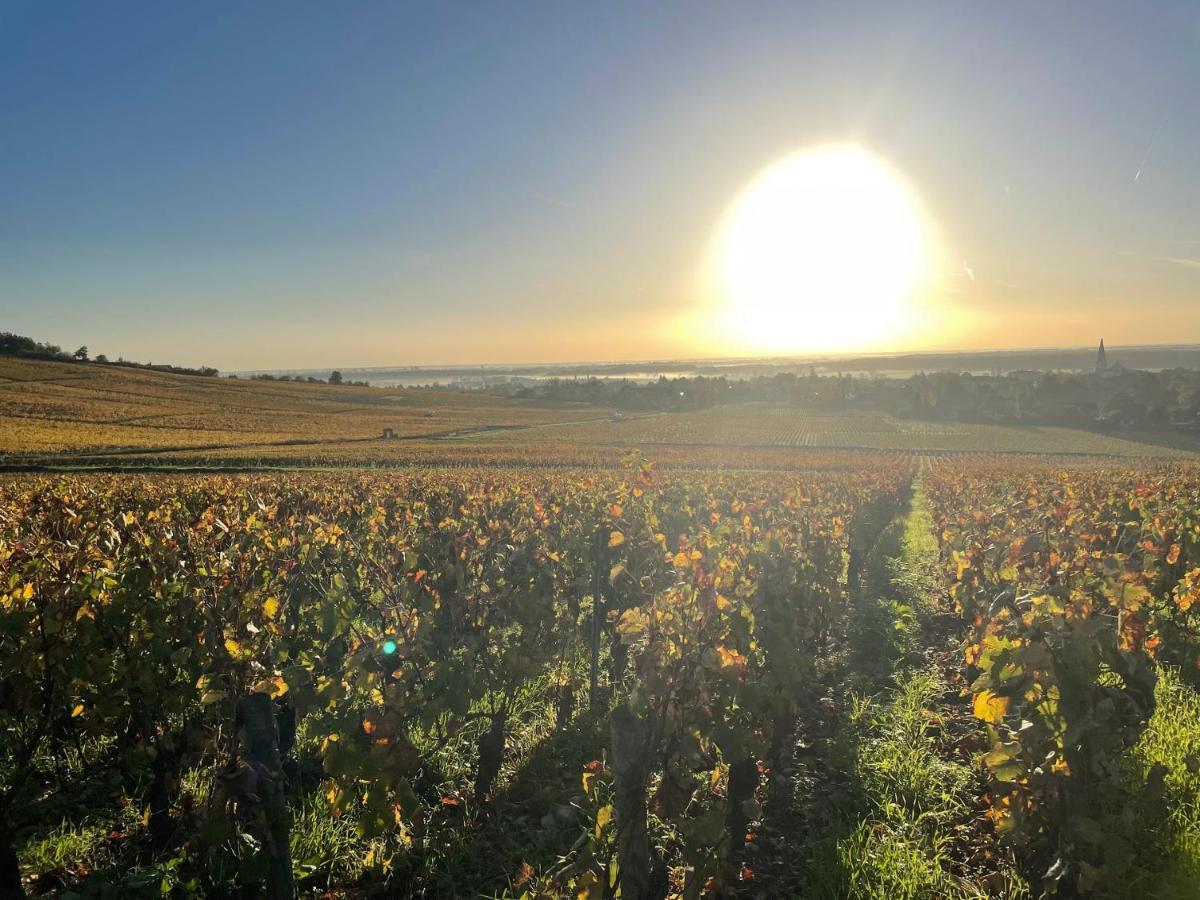 Le Clos De Miribel Givry  Eksteriør bilde