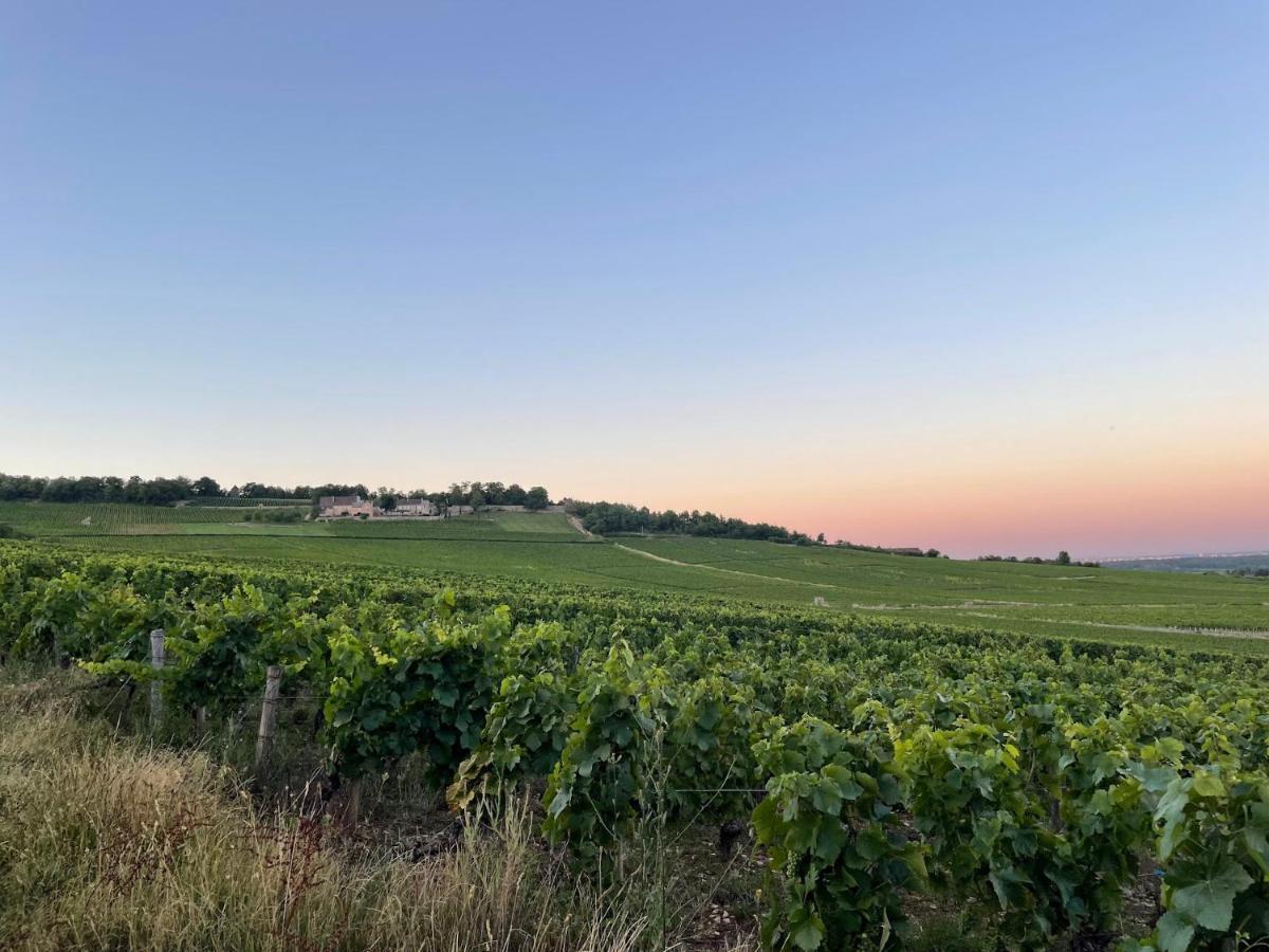 Le Clos De Miribel Givry  Eksteriør bilde