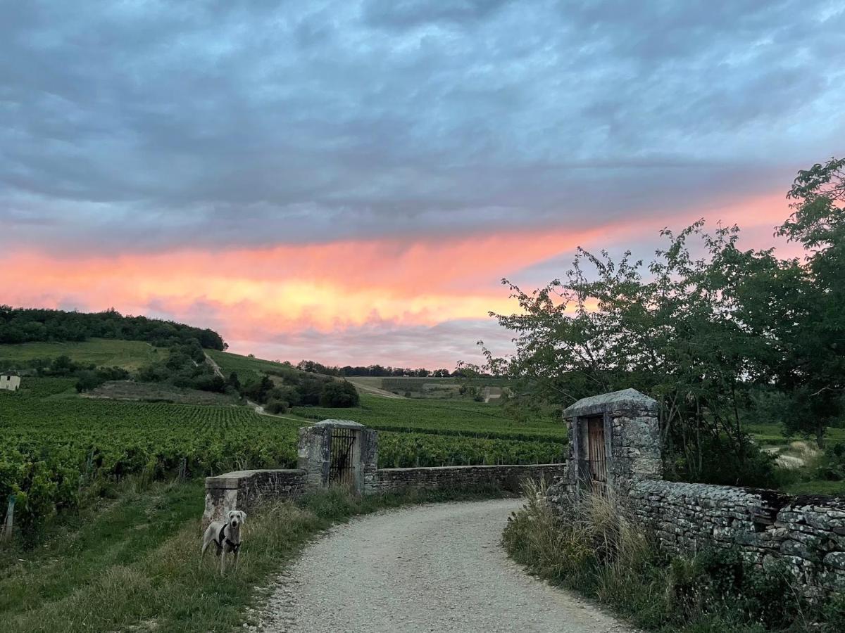Le Clos De Miribel Givry  Eksteriør bilde